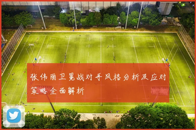 张伟丽卫冕战对手风格分析及应对策略全面解析